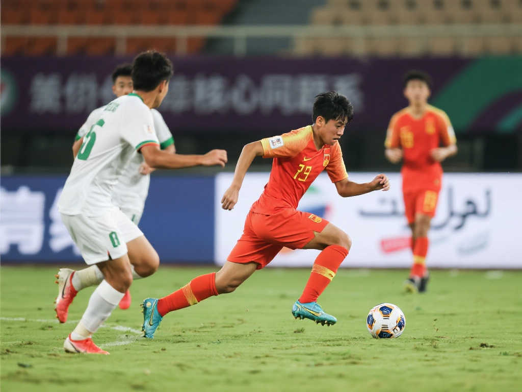 制定任何相 制定任何相