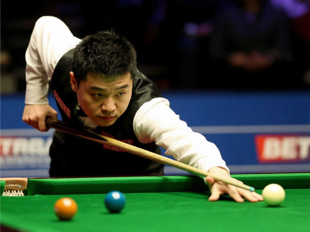 举办了国际 举办了国际