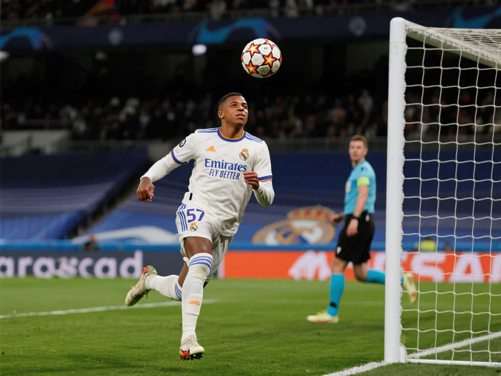 不仅提升了 不仅提升了