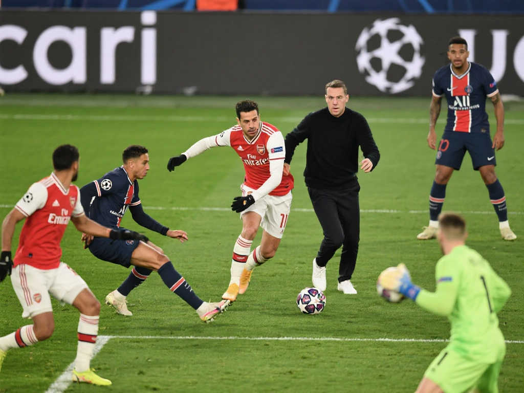 他们的自告 他们的自告